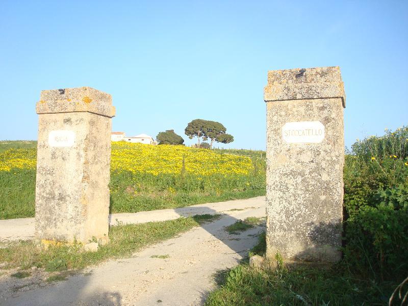Agriturismo Tenuta Stoccatello Menfi Exteriör bild